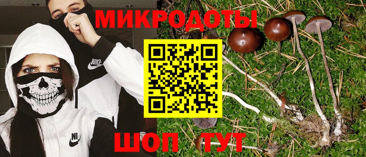 Галлюциногенные грибы GOLDEN TEACHER Назрань